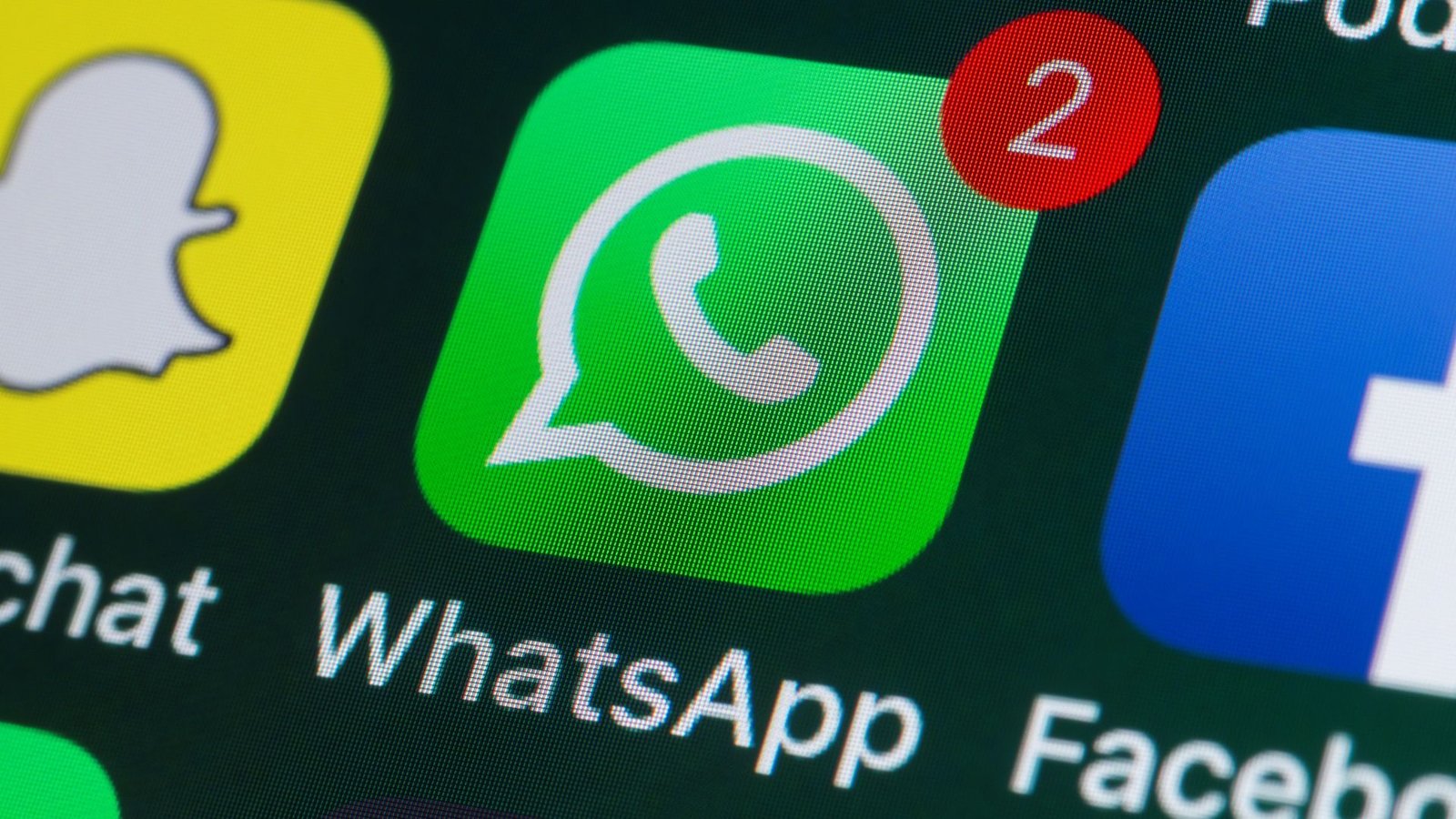 WhatsApp fora do ar? App apresenta instabilidade nesta terça-feira (23)