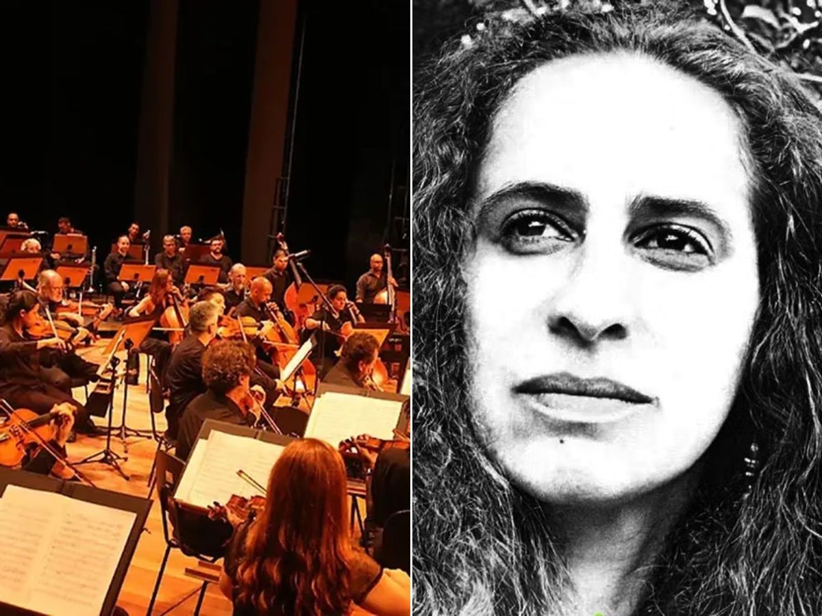14ª edição do Santos Jazz Festival homenageará os 60 anos da carreira de Maria Bethânia; veja a programação