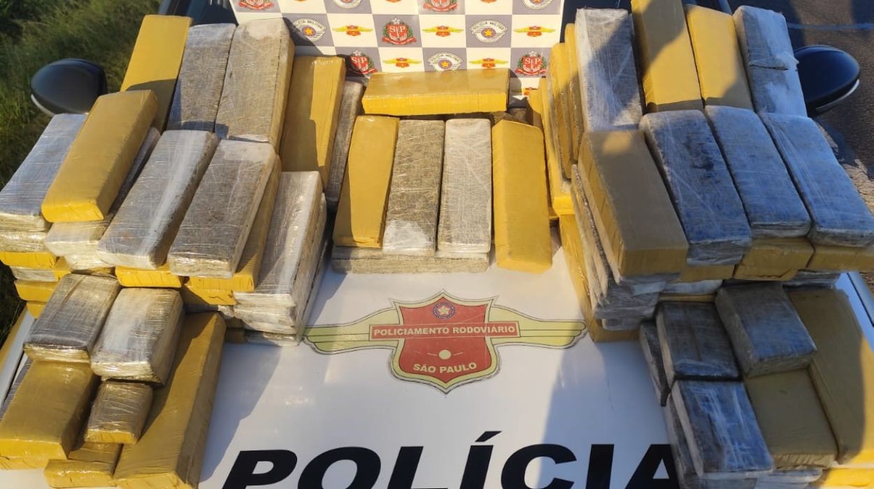 Motorista é preso com mais de 114 kg de maconha na SP-215 no interior de SP