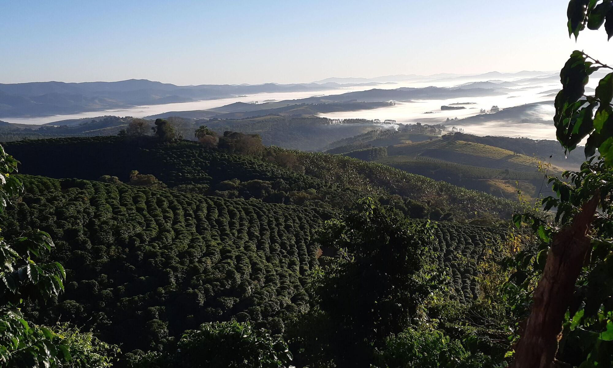 Como as paisagens influenciam nossos vínculos e emoções