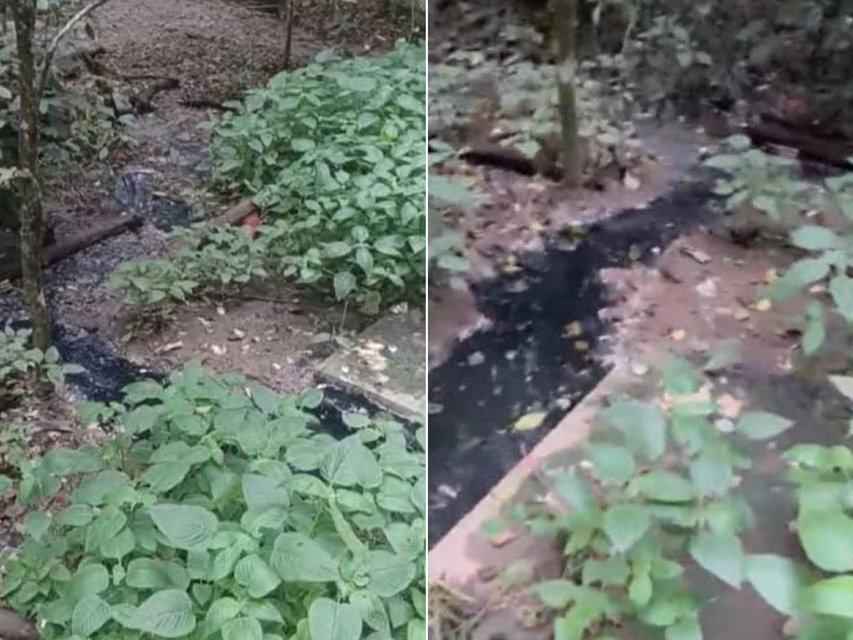 Polícia Civil identifica falhas em usina de resíduos e apura poluição em rio no litoral de SP