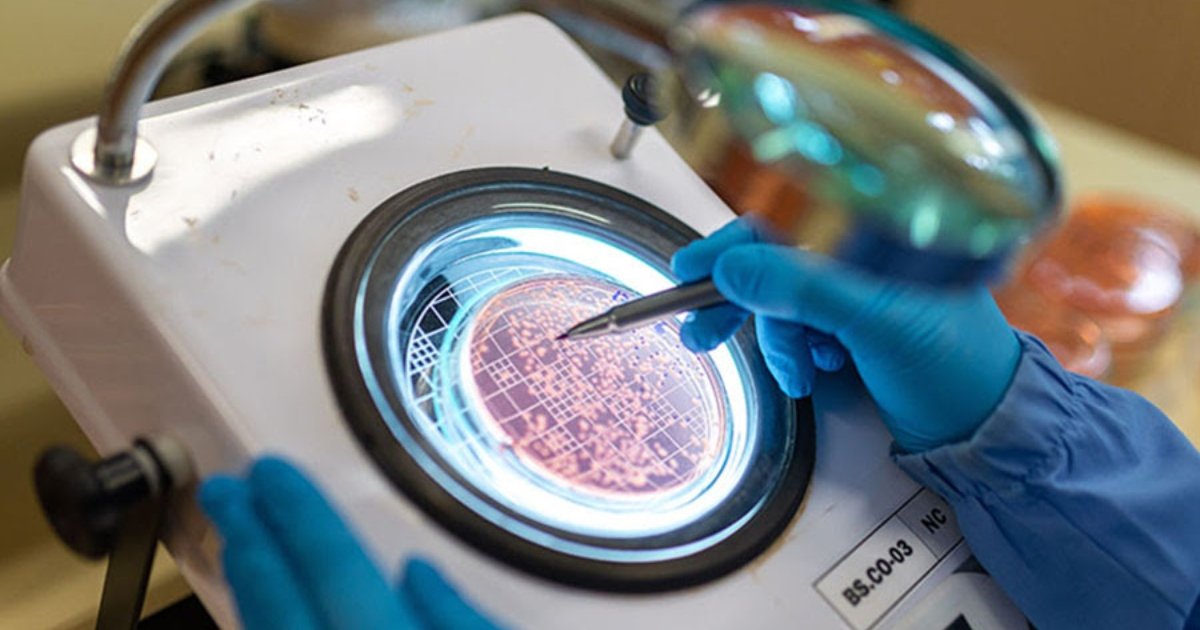 Uso de bioinsumos eleva em mais de 8% a produtividade da soja no Paraná