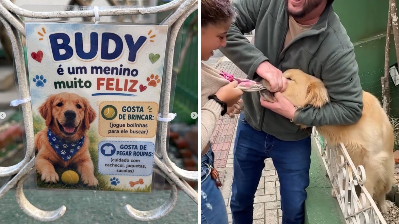 ‘Se tem placa, tem história’: Golden ‘ladrão de roupas’ surpreende menina em SC e momento viraliza