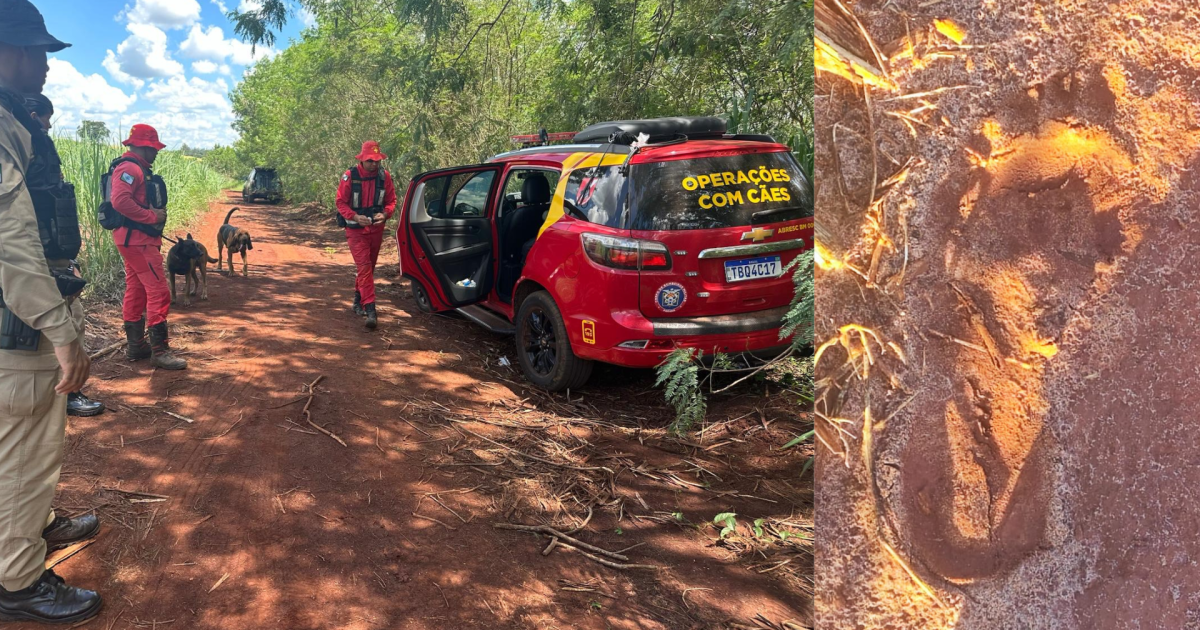 Criança sequestrada é encontrada morta no PR; suspeito atacou grávida antes