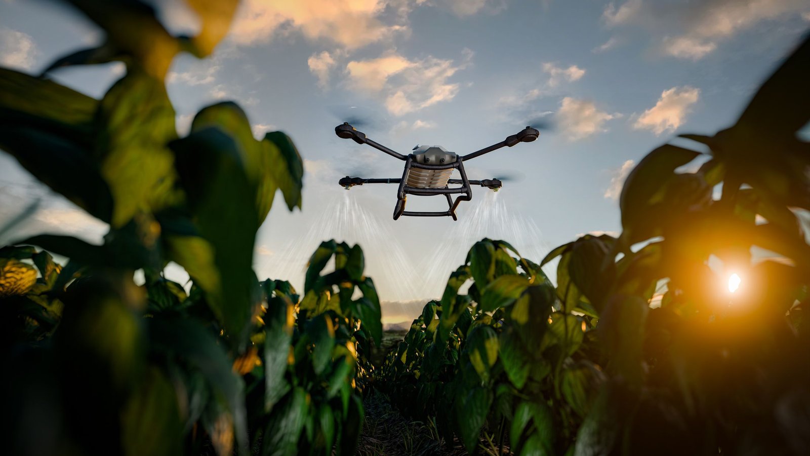 O agro se tornou referência em inovação e outros setores deveriam prestar atenção