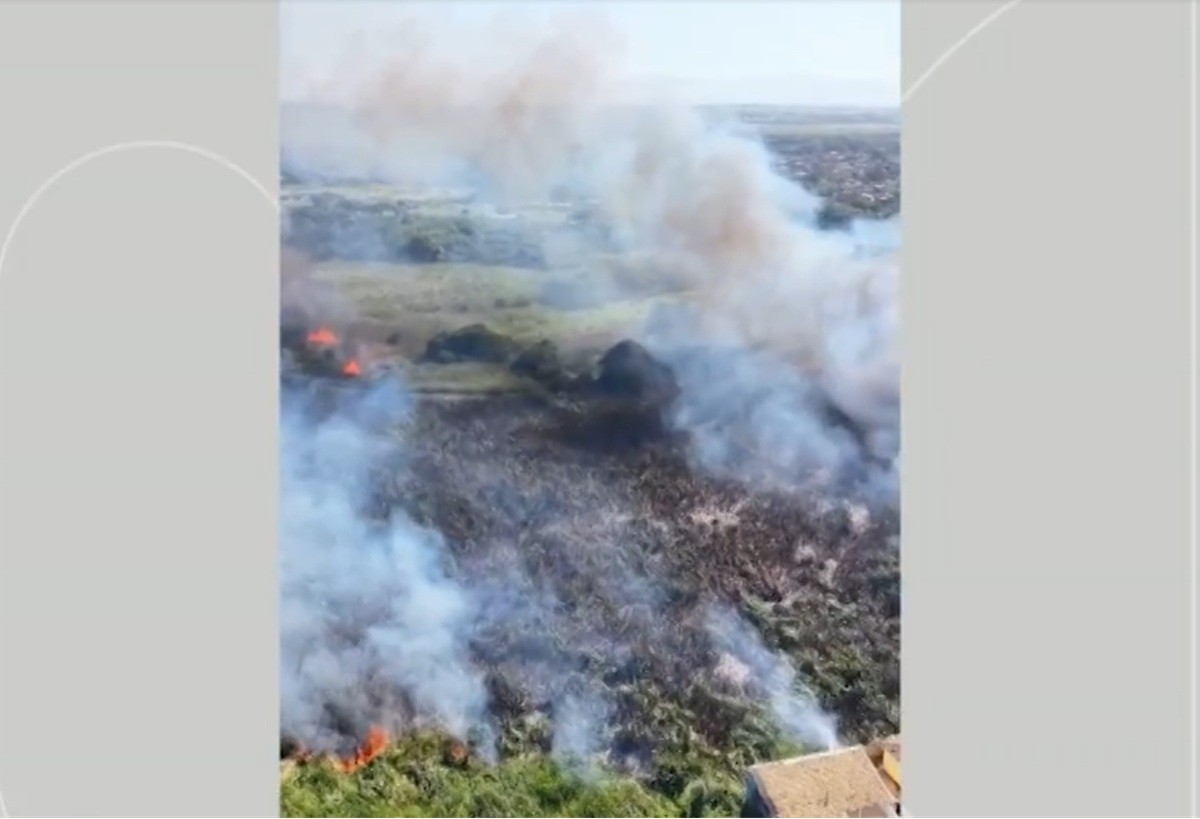 Vídeo mostra incêndio em área de mata em Tamoios