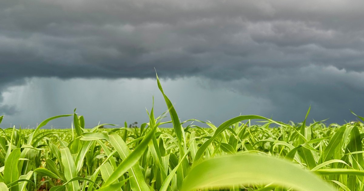 El Niño: Resiliência hídrica e o mito da “chuva garantida” no Rio Grande do Sul