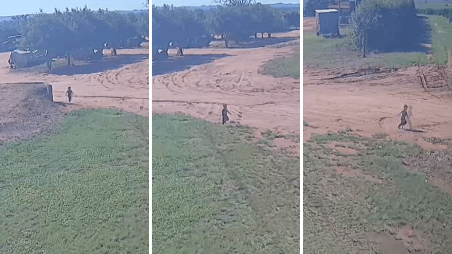 Menino de 2 anos desaparece em fazenda, mobiliza buscas durante a madrugada e é encontrado 17 horas depois no interior de SP; vídeo