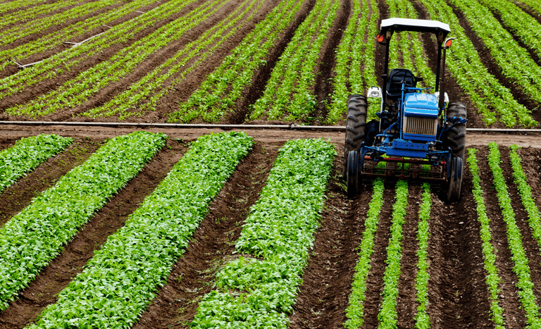 Área coberta pelo seguro rural subvencionado encolhe 77% em quatro anos