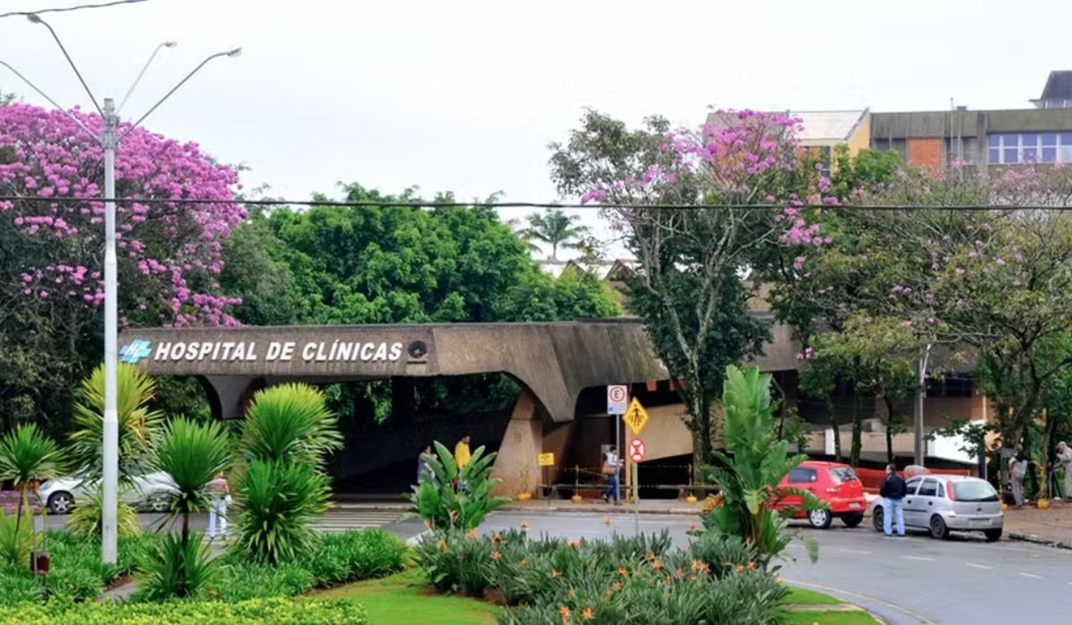 Da triagem ao grupo terapêutico: como funciona novo atendimento da Unicamp para dependência em apostas eletrônicas
