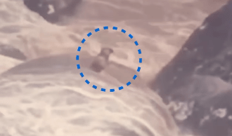 Cachorro cego e surdo é resgatado após ficar ilhado no RJ; veja vídeo