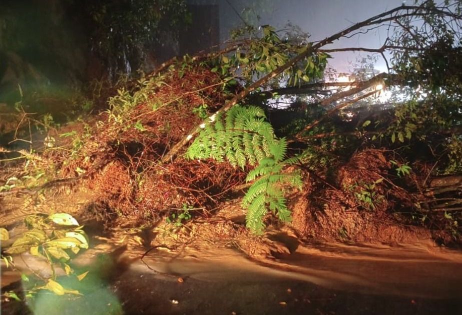 Litoral norte: rodovias são interditadas em SP após deslizamentos