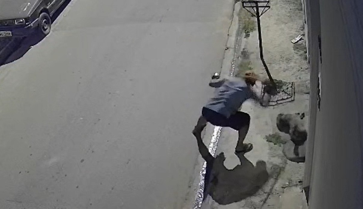 Cachorro agredido a pauladas teve fratura no crânio: 'Ficamos desesperados', diz morador que resgatou animal em Atibaia