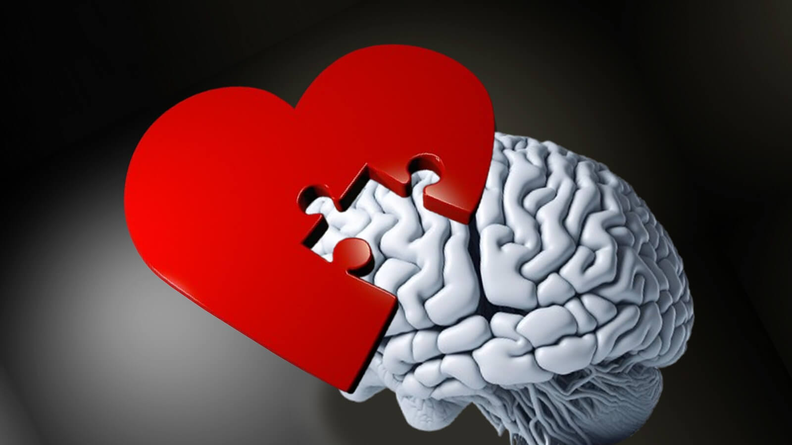 Psicocinesia, hemodinâmica e conexão cérebro-coração: a fisiologia da intencionalidade e do afeto
