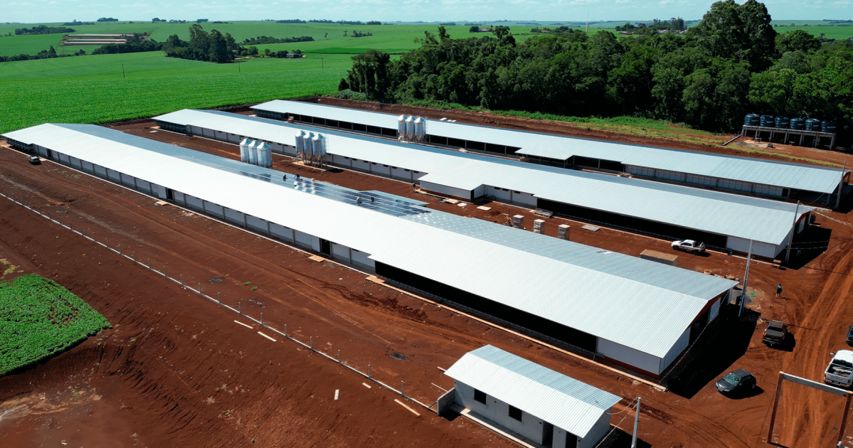 MBRF vai investir R$ 375 milhões na produção aves e suínos no Paraná