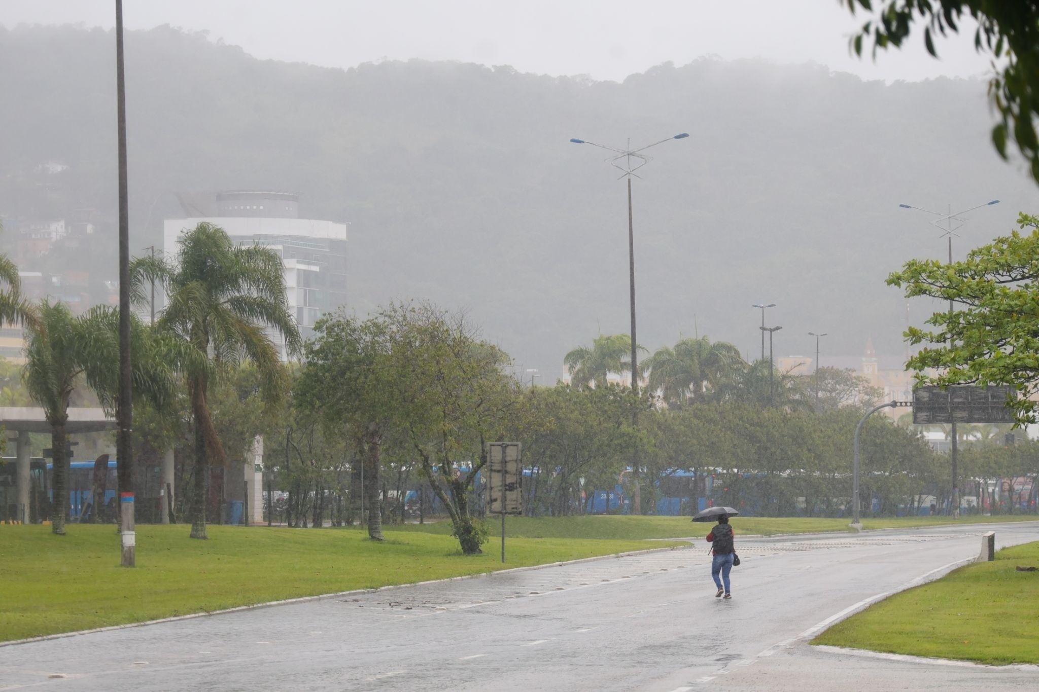 Primavera começa nesta terça-feira com influência do El Niño e promete chuva e calor no Vale do Paraíba