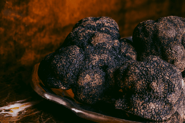 O luxo que nasce sob a terra