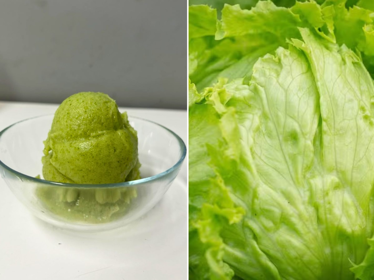 'Leve e refrescante': sorvete de alface surgiu após desafio a chef no interior de SP; veja como é feito