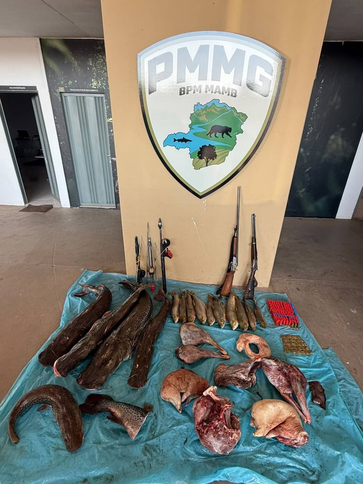 PM apreende carne de paca, cateto e jacaré e prende dois homens em MG