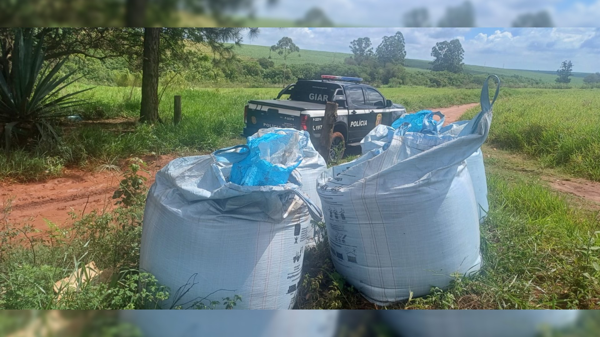 Policiais se passam por compradores e apreendem 4 toneladas de adubo ofertadas em grupo de mensagens