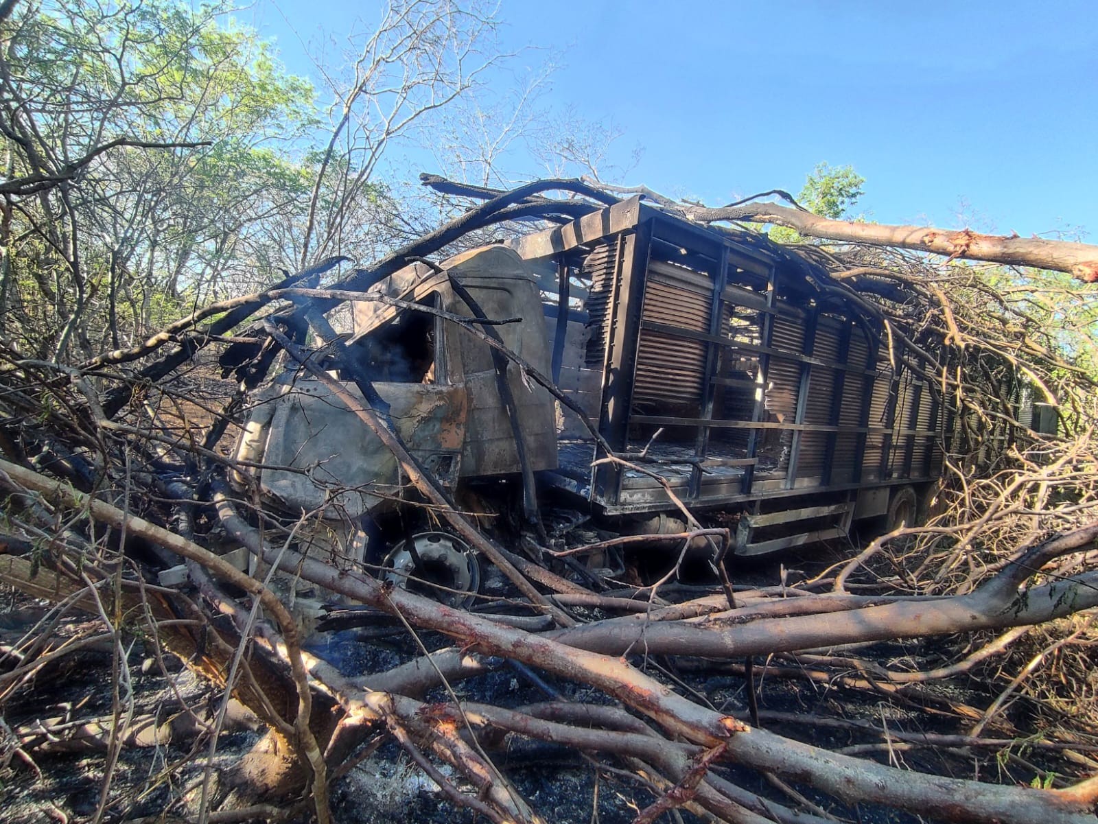 Caminhão boiadeiro bate em árvore e pega fogo na MGC-122, em Janaúba