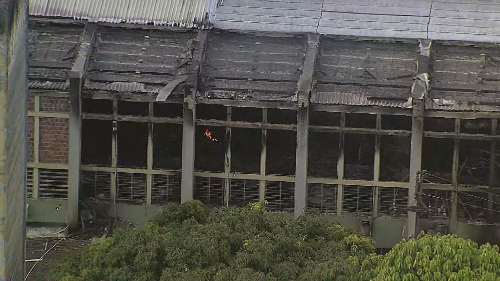 Prédio incendiado na UFPE tinha laboratórios com pesquisas sobre câncer, covid-19 e autismo