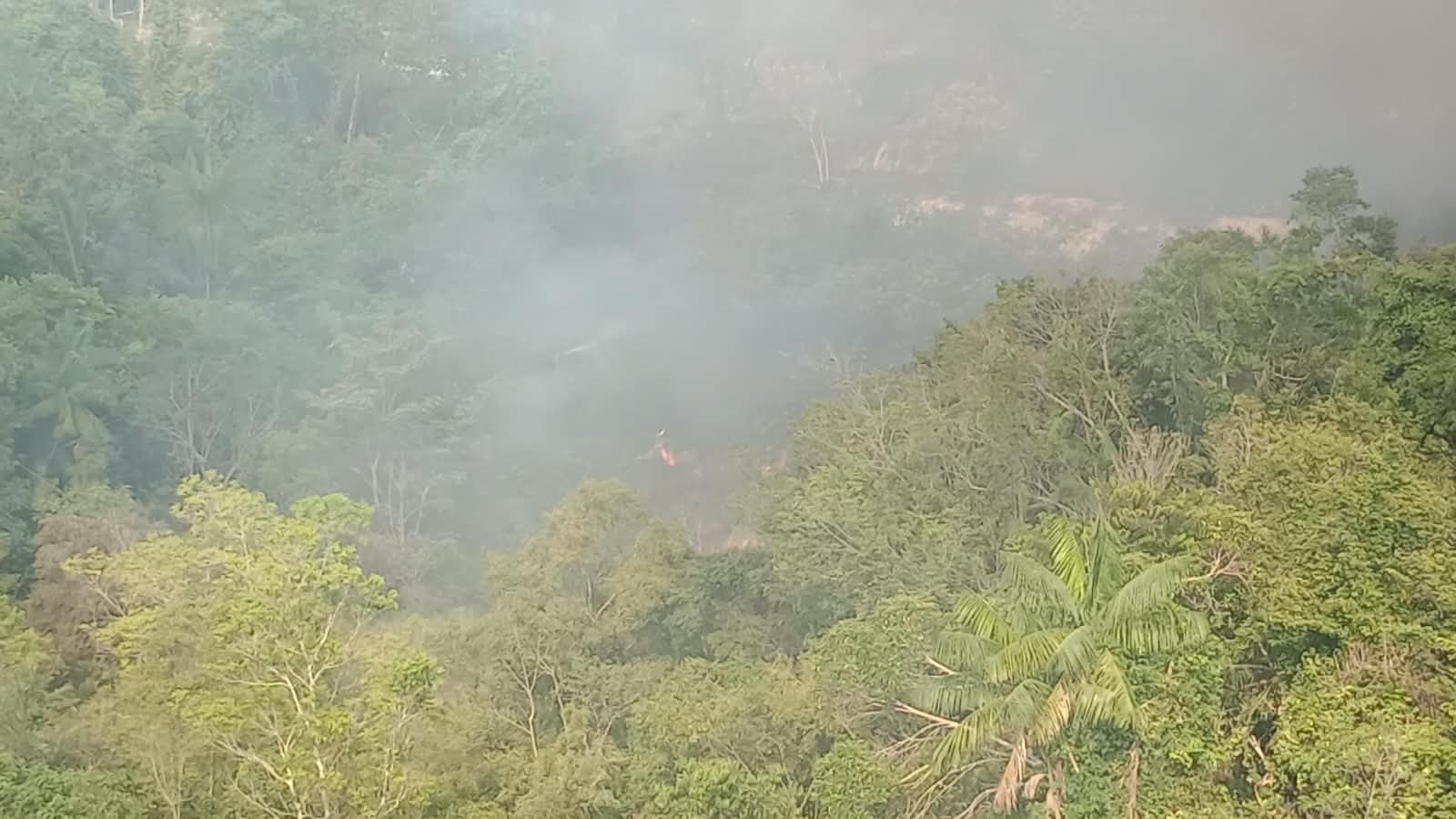 Incêndio atinge área de vegetação atrás de empresa na Zona Norte de Manaus