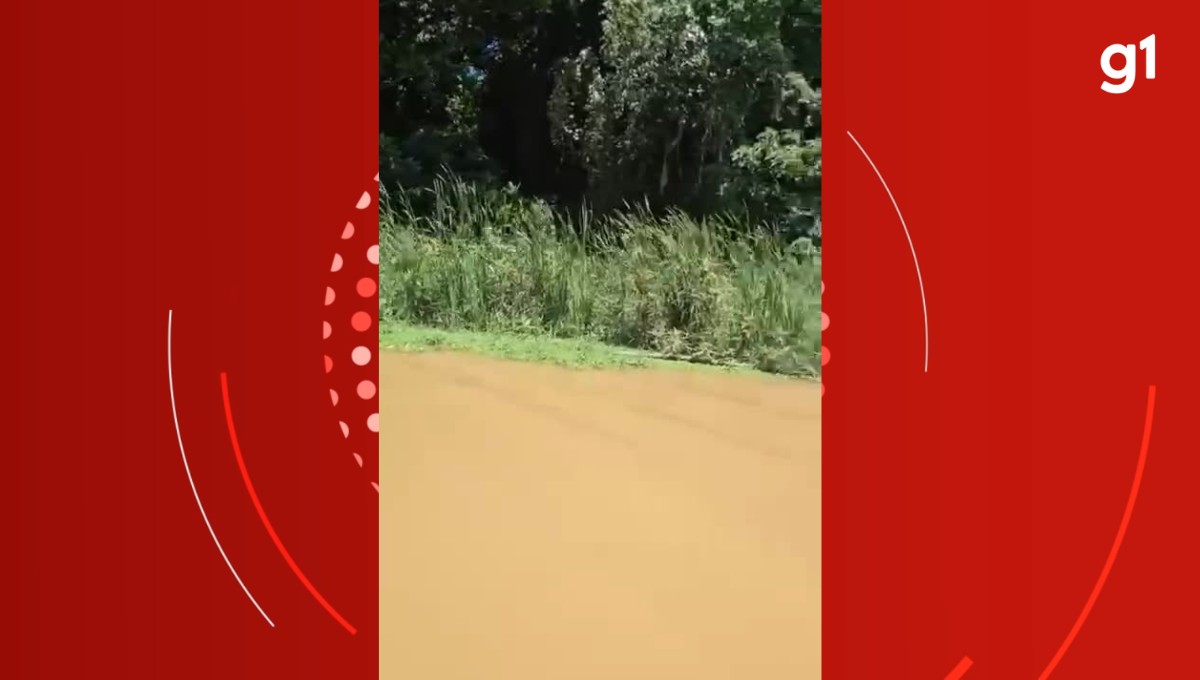 Corpo de homem com Alzheimer que estava desaparecido é encontrado no Rio Doce, em Periquito
