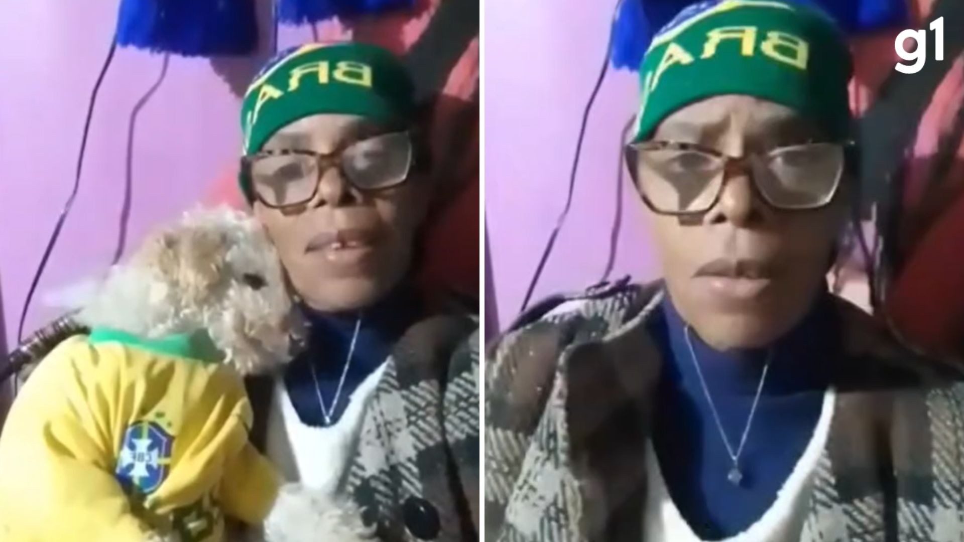 Investigação contra vereadora que disse em vídeo que agrediu cadela com vassoura é arquivada no RS