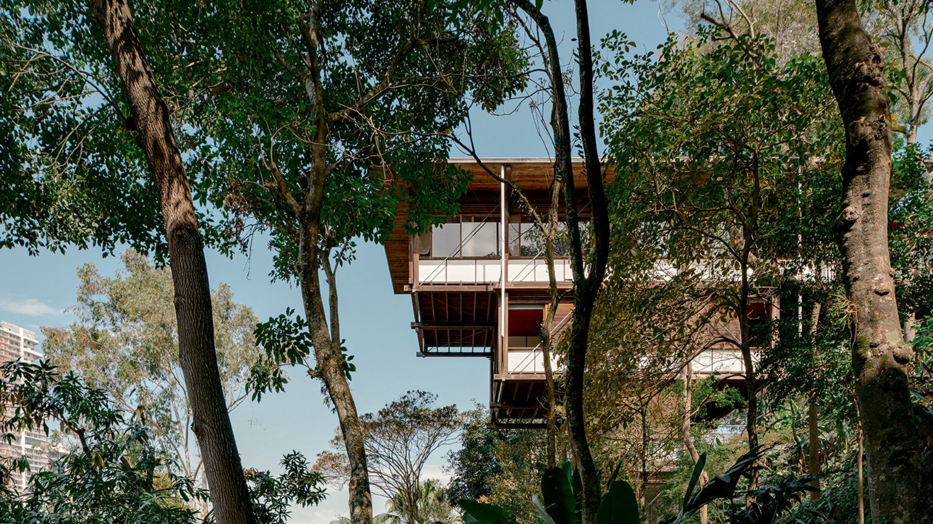 Residência Hélio Olga: a casa de madeira que revolucionou a arquitetura brasileira