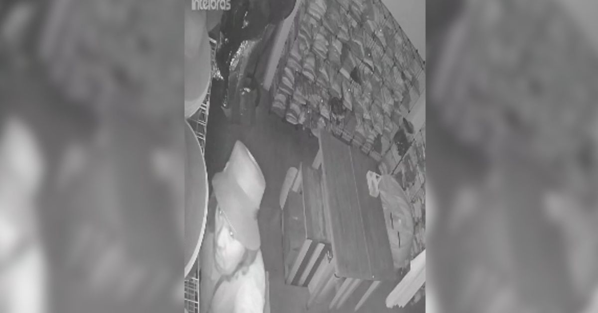 Presos por roubo a joalheria em SP são liberados após prestarem depoimento