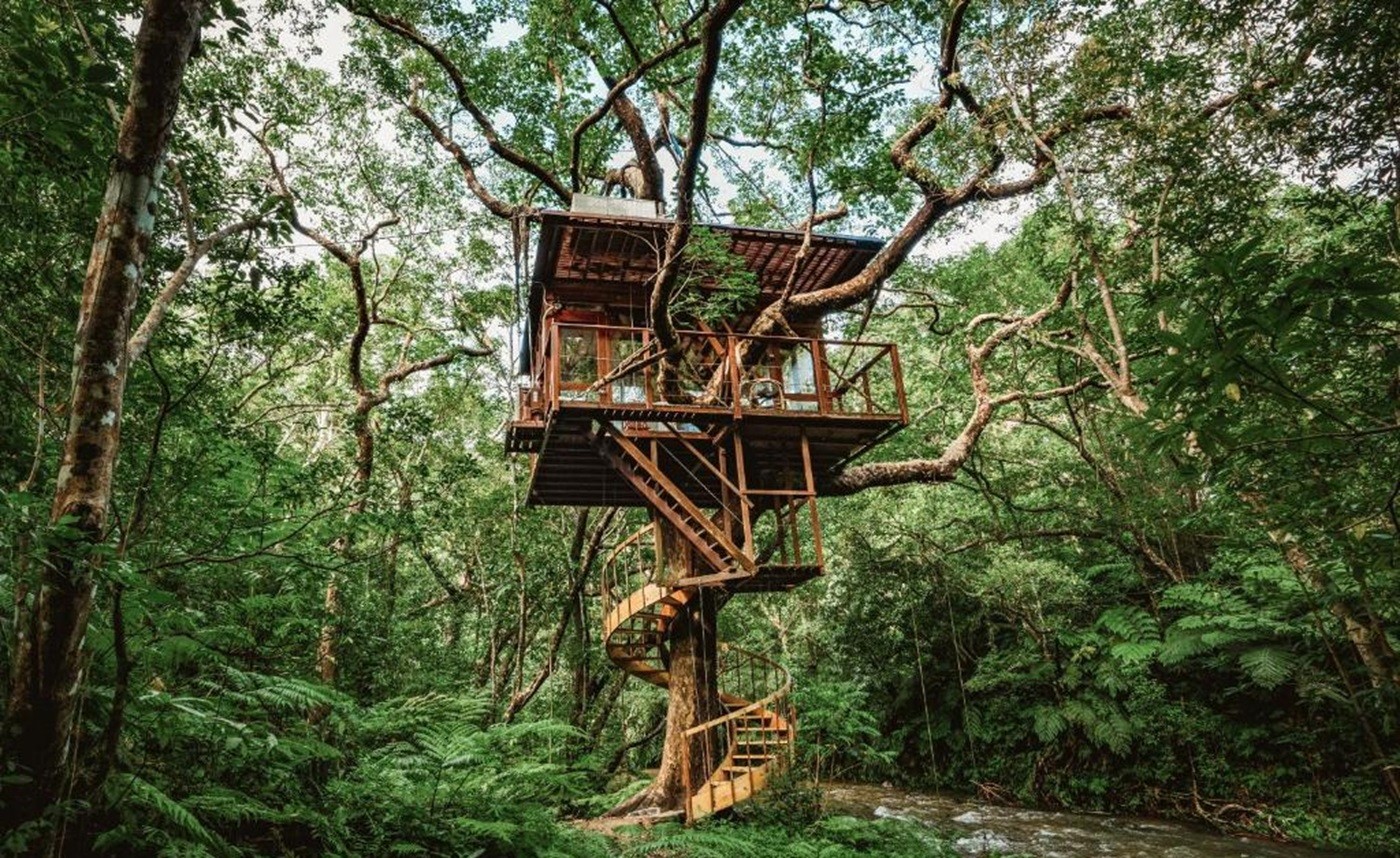 Japão tem resort sustentável de casas nas árvores; veja instalações