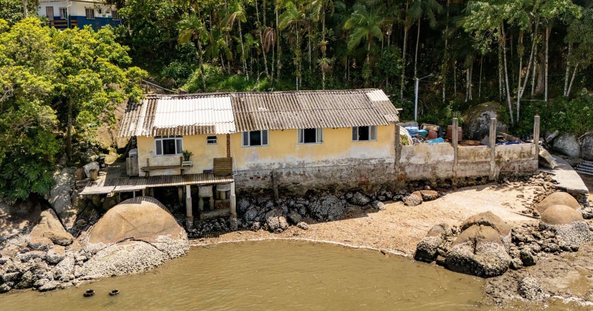 Projeto utiliza minhocas para tratar esgoto no litoral do Paraná; entenda