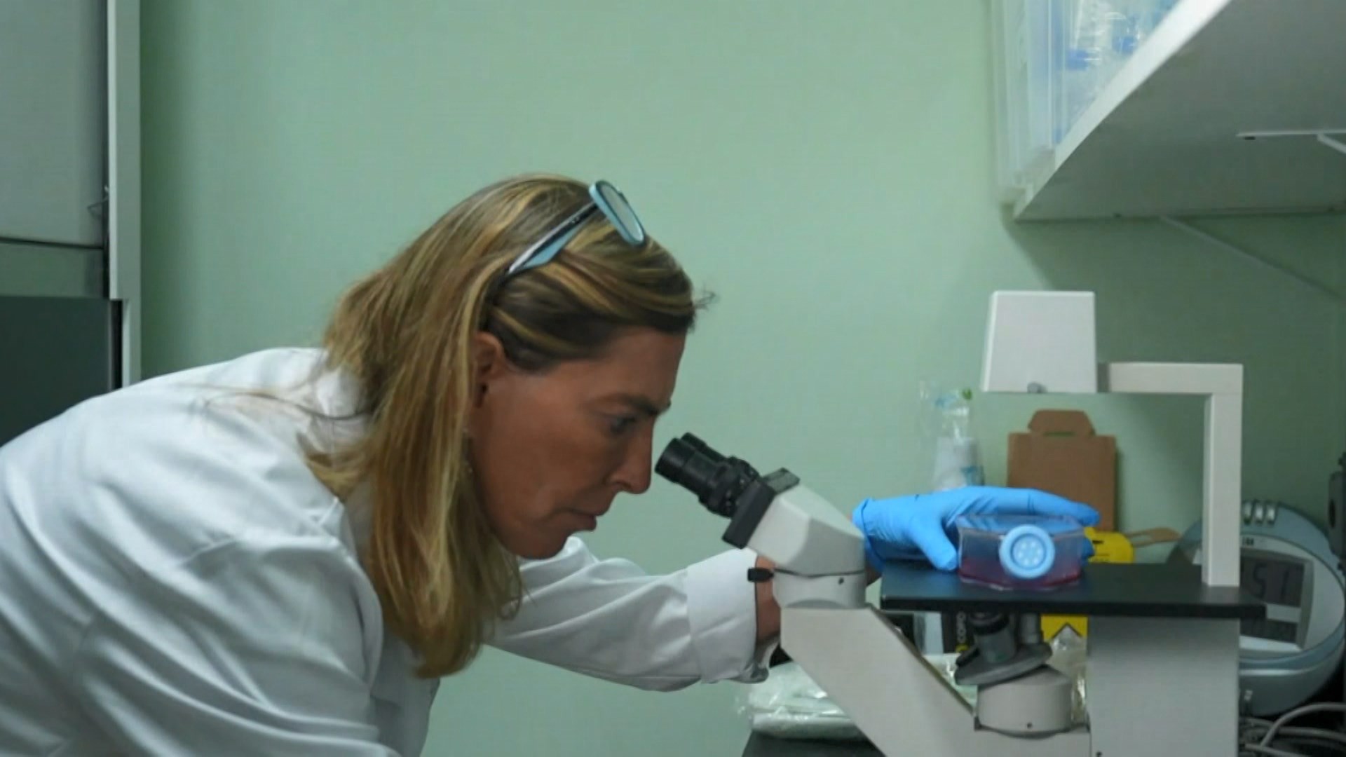 Polilaminina: hospital no interior de SP fornece placentas para produção de substância testada no tratamento de lesões medulares