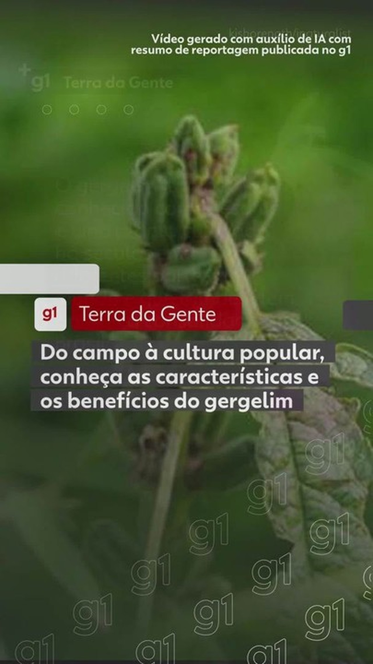 'Abre-te, sésamo': conheça o segredo milenar e os benefícios do gergelim
