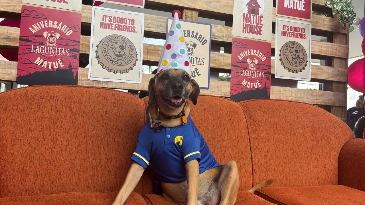 Sucesso nas redes, caramelo frentista ganha festa de 11 anos com bolo e salgadinho para pets