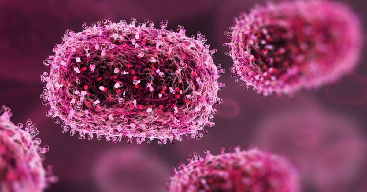 Mpox tem cura? Como identificar? Veja as principais buscas sobre a doença