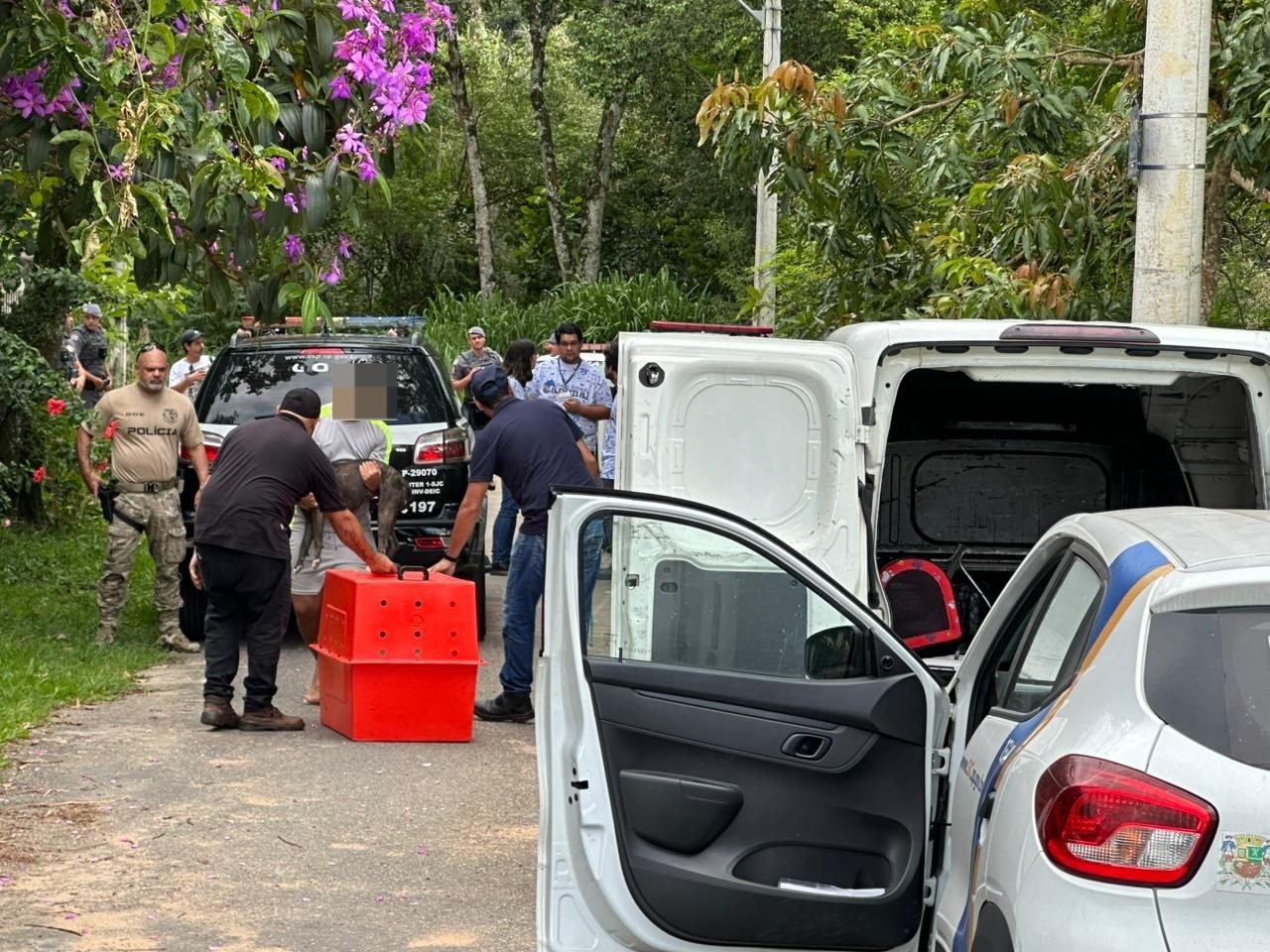 Justiça torna réu tutor de pitbulls que atacaram e mataram idosa de 69 anos em São José dos Campos