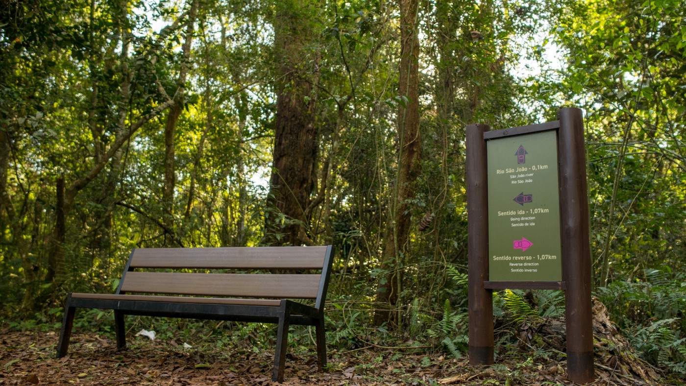 Foz do Iguaçu: 8 Passeios na Natureza para Recarregar as Energias